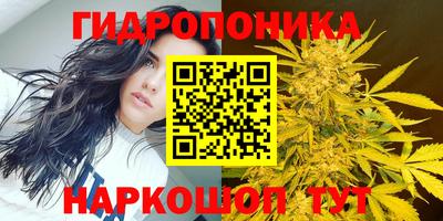 МДПВ Заволжье