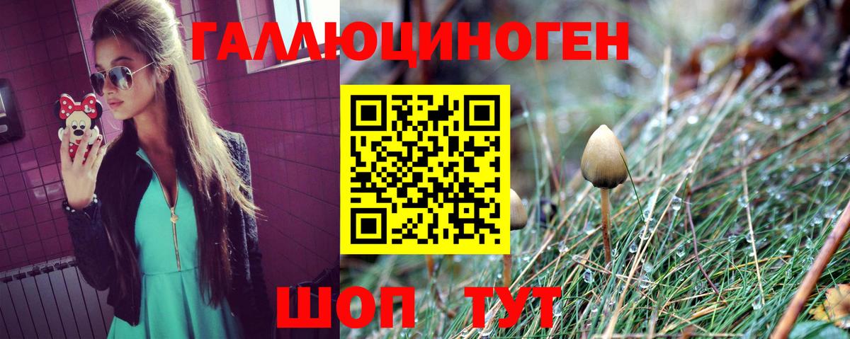 Галлюциногенные грибы MAGIC MUSHROOMS  Вход с VPN  Галлюциногенные грибы мицелий  Кудрово 