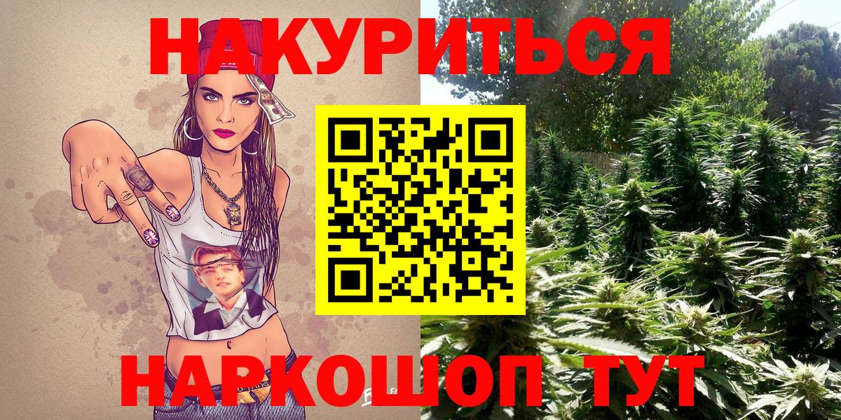 Бошки марихуана Bruce Banner  Марихуана Bruce Banner  Вход с VPN  Кудрово  Бошки Шишки AK-47 